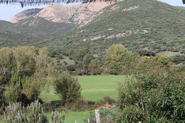 Villa Ferme de Chiuni Cargèse Zimmer foto